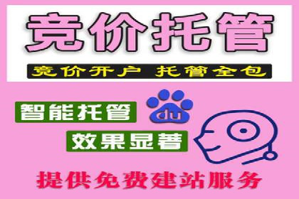 竞价广告的投放时机与频次选择——基于案例的探讨